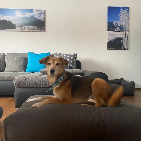 Casa de Férias Dahoamdeluxe - Chiemgau Karte